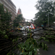 People stand next to a fallen tree after heavy winds caused by Cyclone Tauktae in Mumbai